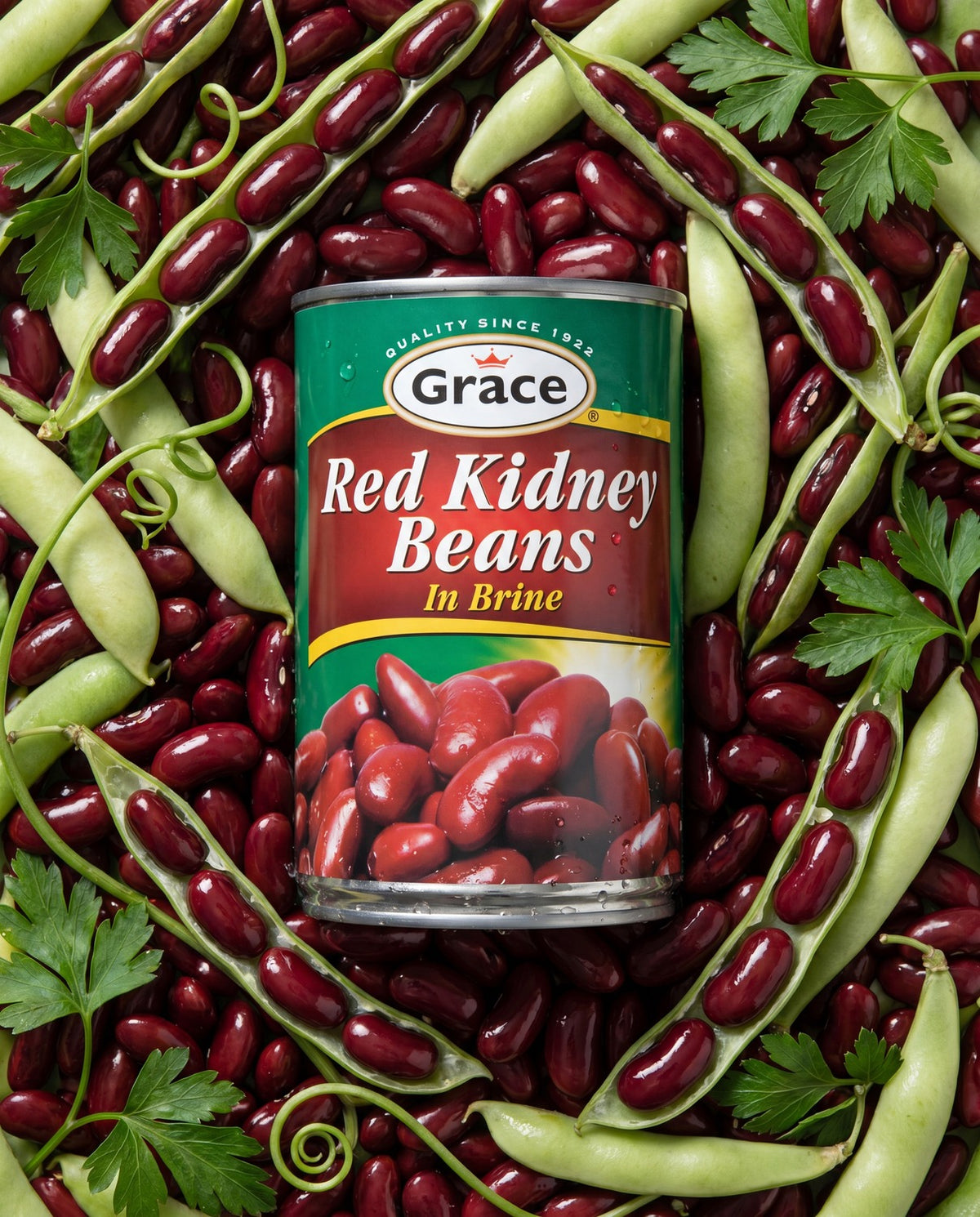 Front view of Grace Red Kidney Beans 425 G can showcasing red kidney beans in brine with beans, pods, and parsley