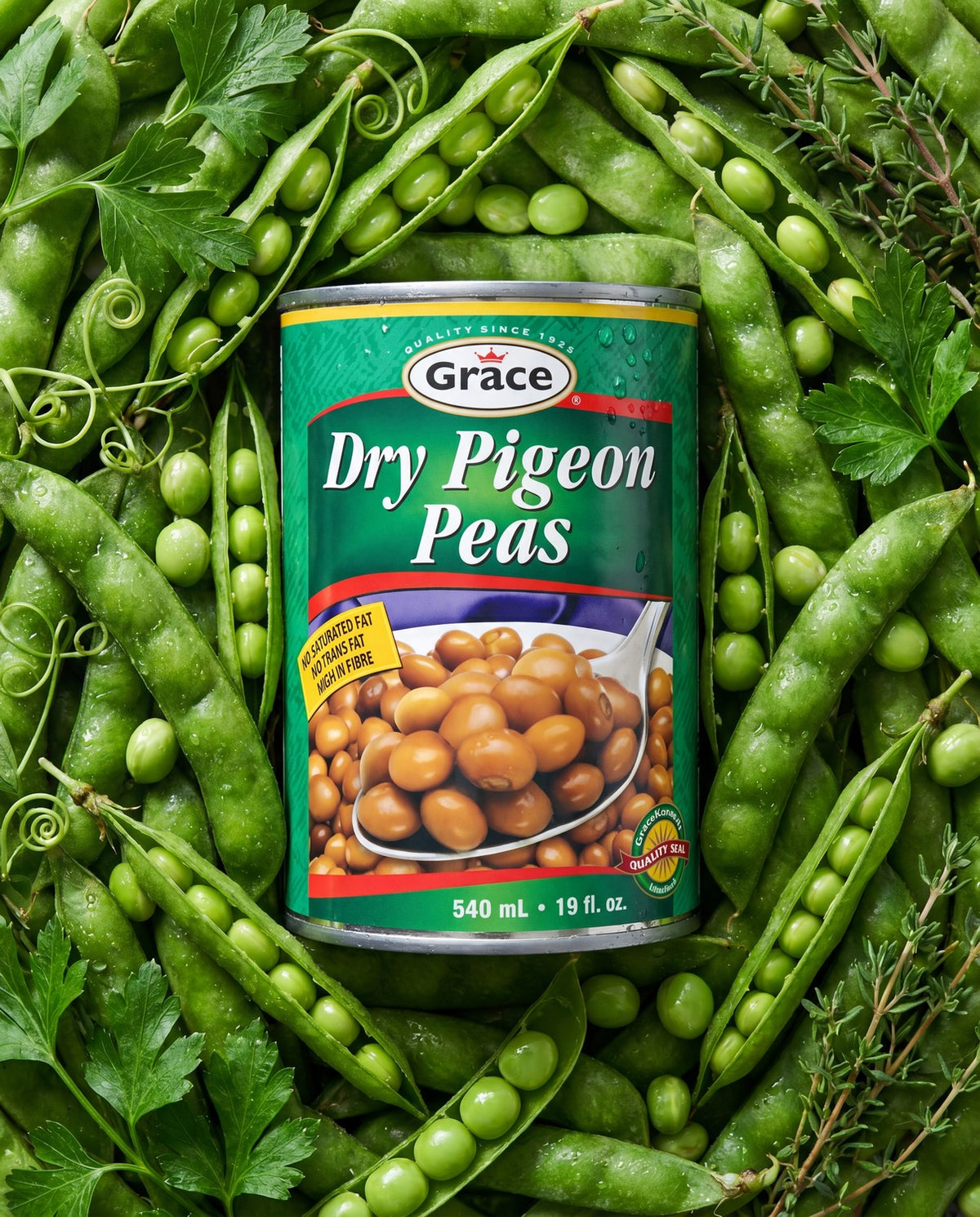 Front view of Grace Dry Pigeon Peas can showcasing its product label with fresh green pea pods and herbs