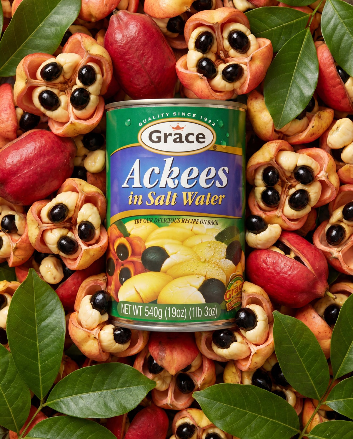Front view of Grace Ackees in Salt Water can showcasing ackee fruit and 540 GR size with fresh ackee and leaves