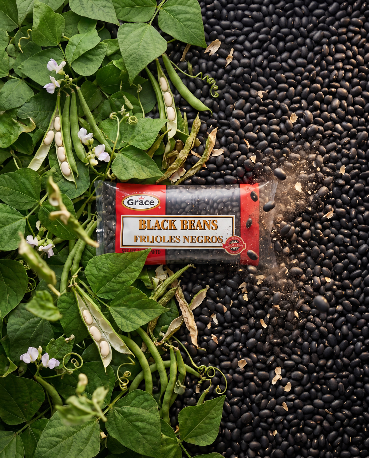 Front view of Grace Dry Black Beans package showcasing black beans and a bilingual label, surrounded by bean plants
