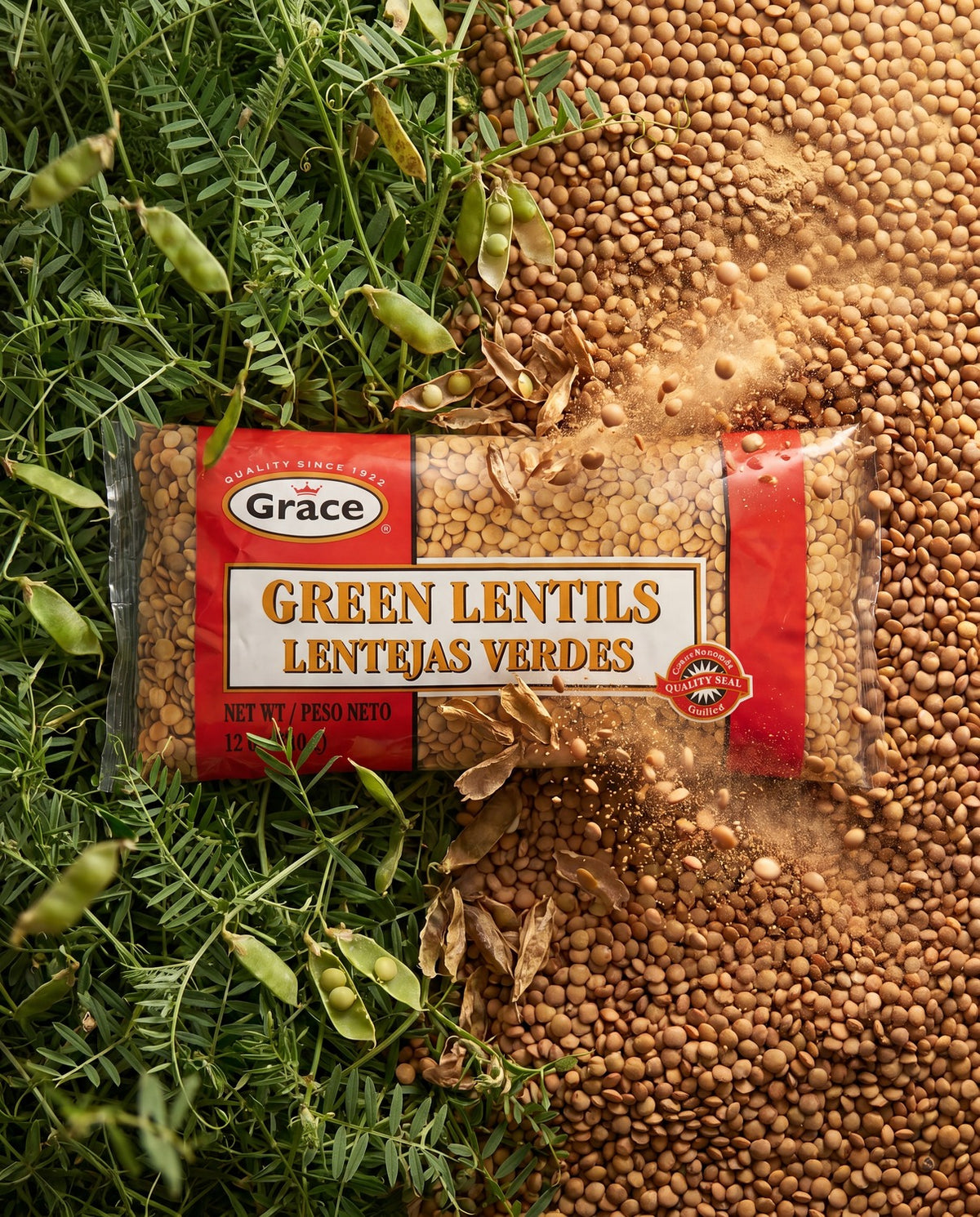 Front view of Grace Green Lentils package showcasing the 12 oz size with lentils and plants behind it