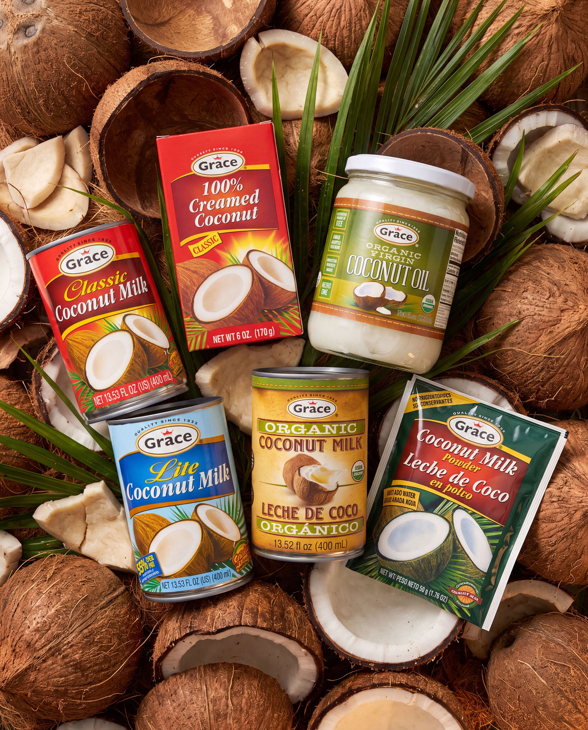Overhead view of Grace coconut products showcasing coconut milk, creamed coconut, and coconut oil with whole coconuts